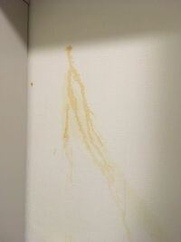 壁紙の茶色いシミが消えません 洗濯機の上に突っ張り棒で Yahoo 知恵袋