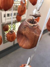 干し柿を作り始めました 一週間経ったのですが 一部の柿 Yahoo 知恵袋