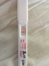 妊娠検査薬で陽性がでました 生理周期は26日で 前回の生理開 Yahoo 知恵袋