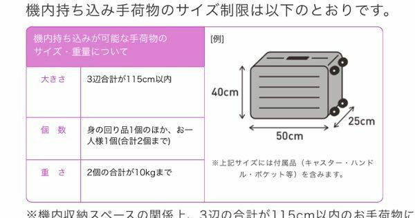 安い ピーチ 水筒 持ち込み 大きさ