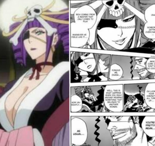花天狂骨について 結構前に放送されたブリーチの斬魄刀異聞編のアニメ Yahoo 知恵袋