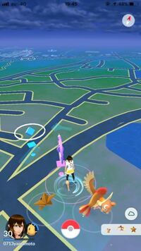 ポケモンgoでビードルの周りをぐるぐるしているのは何ですか 天気 Yahoo 知恵袋