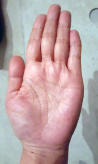 左利きかつab型で手相がマスカケの人の確率はいくつですか 日 Yahoo 知恵袋