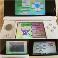 ポケモンx Yでゼルネアス イベルタル ジガルデのシリアルコー Yahoo 知恵袋