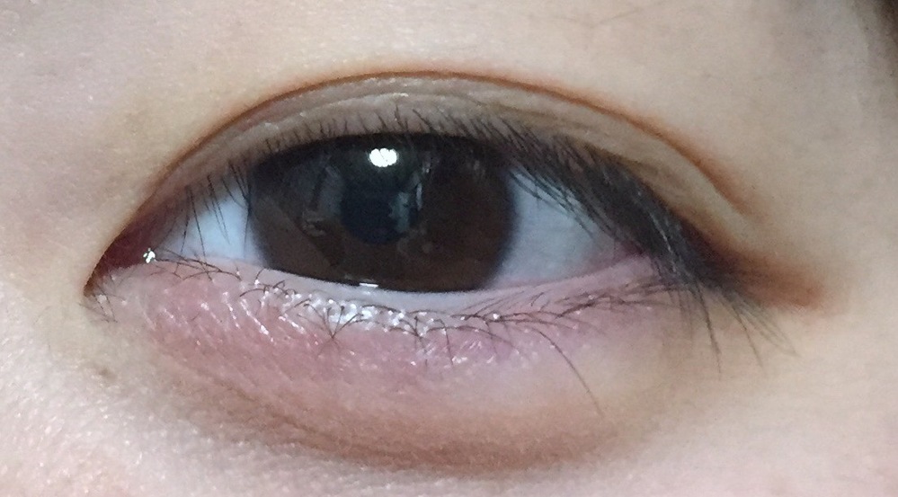 世の中には目の種類 つり目 どんぐり眼など が色々ありますが Yahoo 知恵袋