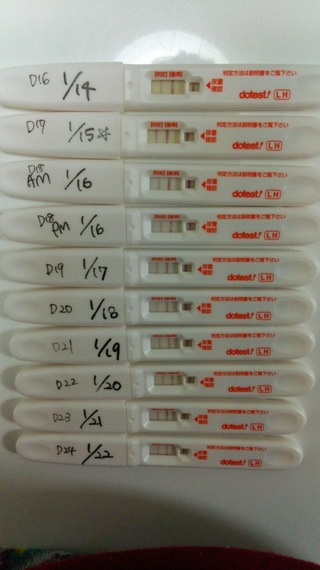 排卵検査薬が薄い陽性ばかり続きます 排卵はしていないのではし Yahoo 知恵袋