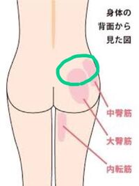 右側のお尻と腰の間の 筋肉 か筋に違和感があります かが Yahoo 知恵袋