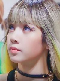 BLACKPINKのRisaは本当にタイ人なんですか？リサはタイ出身ですけど、明らか肌白いし顔つきもタイ人というより白人っぽくないですか？ブラックピンクの中でも1番スタイル良いですし。 