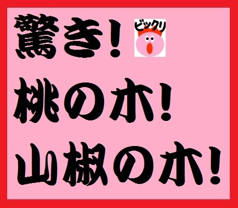 驚き桃の木山椒の木 って何やねん 驚き の語尾の き と 木 Yahoo 知恵袋