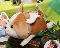 ゆるキャン の斉藤恵那が飼っている犬 チクワ のねそべりぬい Yahoo 知恵袋