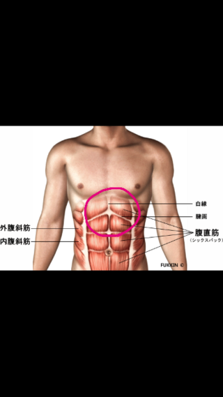 のシックスパックの上二つの部分がなかなか割れません 三つ目のところは Yahoo 知恵袋