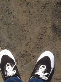 Vansのこの靴履いてるんですけど足の甲が痛いです今まではもっと靴紐で Yahoo 知恵袋