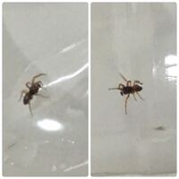 16 罪悪 感 なくなっ た は 話 ドラ とら