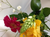 この花の名前はなんですか 緑色のつぼみみたいなやつです ユリ科オオ Yahoo 知恵袋