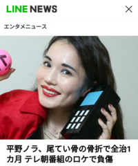 平野ノラがいってるランデーバースってなに ランディーバスでし Yahoo 知恵袋