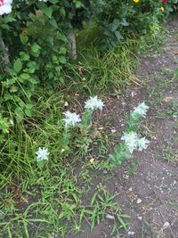 ユーリ Oniceに出てくる愛についてという曲は Erosとagap Yahoo 知恵袋