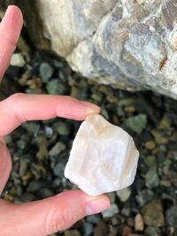 河原で白い石を拾いました 石英 結晶質石灰岩どちらでしょうか Yahoo 知恵袋