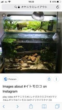 この水槽の上に水槽を置いてるのはどうやったらできますか また Yahoo 知恵袋