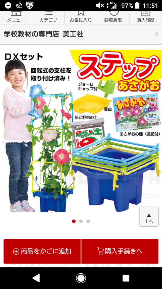 朝顔の花を育てたい 子供が学校で 朝顔の花の種をまいたそうです その種 Yahoo 知恵袋