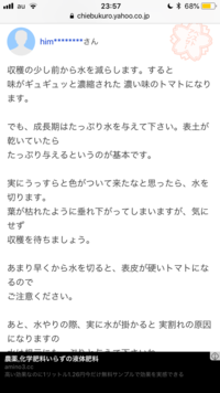 甘いトマトを作りには コンテナ栽培の水やりについては分かりま Yahoo 知恵袋