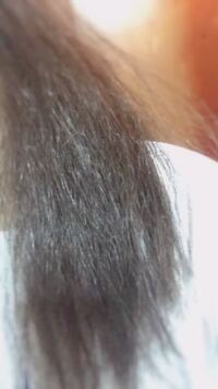 髪の毛がアイロンしないとこのような感じでもう根元からチリチリ Yahoo 知恵袋