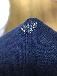 これはなんの卵ですか 干した後の服についてました 硬くてすごく Yahoo 知恵袋