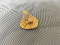 イヤリングにシリコンカバーをしても尚痛いのですが 何か他に痛 Yahoo 知恵袋