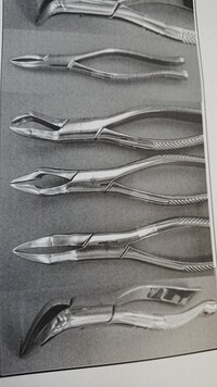 歯科学生です 質問です 抜歯鉗子で大臼歯 小臼歯 残根の違いについてお教えく Yahoo 知恵袋