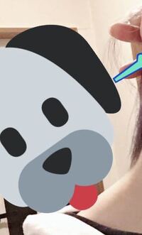 パソコンでツイッターをしているのですが 写真にステッカーがは Yahoo 知恵袋