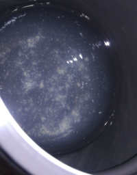 ポッカレモンを約一週間前に開封したのですが 下の方に小さな白い沈殿物が Yahoo 知恵袋