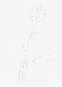 押し花に使う乾燥シートはどこで買えますか 押し花を作り Yahoo 知恵袋