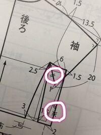 バナナの皮を間違って犬に食べさせてしまったのですが どうしたらいいでしょう Yahoo 知恵袋