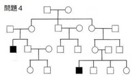 以下の図は ある疾患の家系図である もっとも考えられる遺伝形 Yahoo 知恵袋
