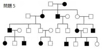 以下の図は ある疾患の家系図である もっとも考えられる遺伝形 Yahoo 知恵袋