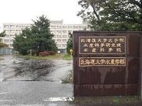 北海道大学水産学部の院 東京海洋大学の院 どちらが東京での就職に有利 Yahoo 知恵袋
