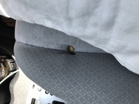 カーコンビニやオートバックスなどで 車のシートの タバコ 焦げ穴修理にはど Yahoo 知恵袋