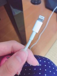 液体 iphone コネクタ