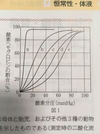 生物基礎の同じ酸素分圧における胎児と母体の酸素ヘモグロビンの Yahoo 知恵袋