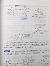 漫画 ブラッドハーレーの馬車 の一話ごとネタバレが知りたいです あまりの残虐シ Yahoo 知恵袋