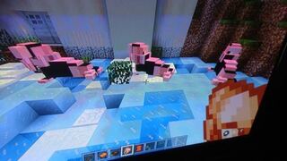 Switchのminecraftでzooと言う世界を 購入しました Yahoo 知恵袋