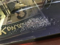 エンゼルフィッシュ飼ってるんですがこれ卵ですか はい Yahoo 知恵袋