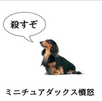 現在は閉鎖された がむしゃら という画像掲示板はご存知ですか とても見やすく Yahoo 知恵袋