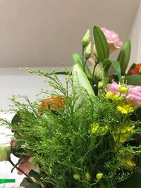 花束の中の緑の花の名前 花束の中に入っていた 緑の植物の Yahoo 知恵袋