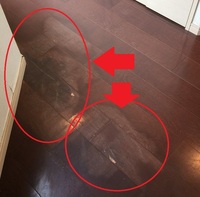 分譲マンションのフローリングの日焼けについて質問です 日当たりが良いと Yahoo 知恵袋