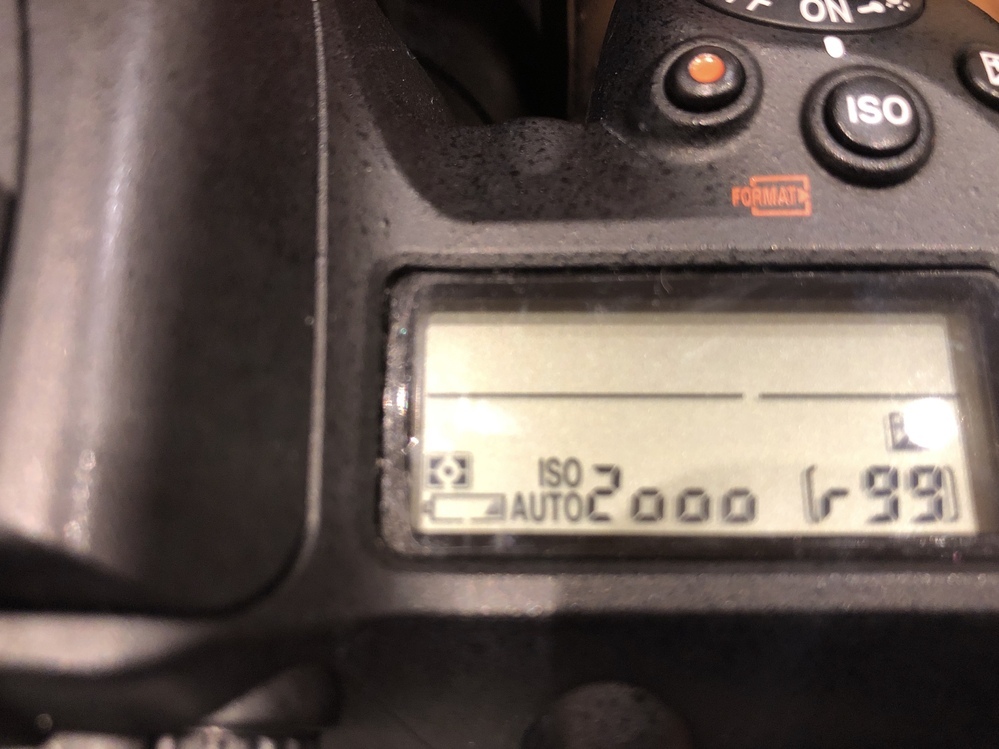 Nikon D7500 撮影回数25回 間違えて削除してまいました 購入希望の方