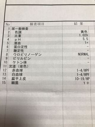 細菌 尿 検査
