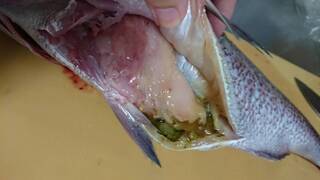 急ぎです 下処理をしていない鯛は冷蔵庫で何日もちますか お Yahoo 知恵袋