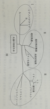 分子系統樹とは 学校で分子系統樹を勉強したのですがその原理となぜｒ Yahoo 知恵袋