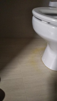 お掃除についてです クッションフロアの汚れ 黄ばみ 壁のビニールク Yahoo 知恵袋