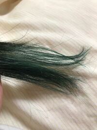 前に毛先だけ緑や青に染めていて 現在はビリジアンのような緑色 Yahoo 知恵袋